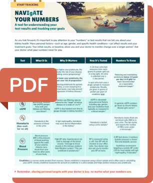 Thumbnail of the Know Your Numbers tracker to indicate that the PDF is downloadable